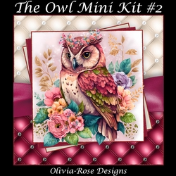 The Owl Mini Kit #2