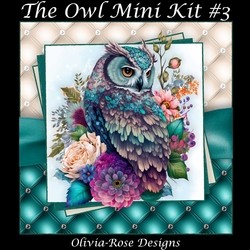 The Owl Mini Kit #3