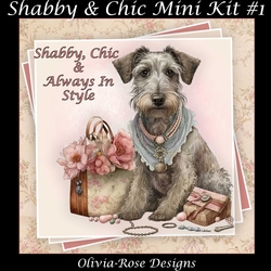 Shabby & Chic Mini KIt #1