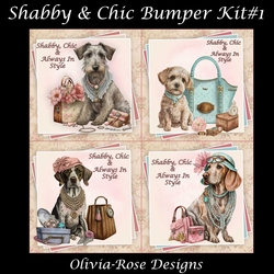Shabby & Chic Bumper KIt #1