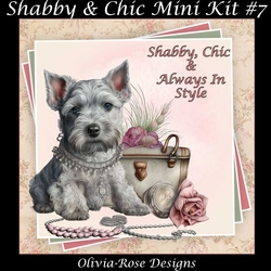 Shabby & Chic Mini KIt #7