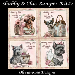 Shabby & Chic Bumper KIt #2
