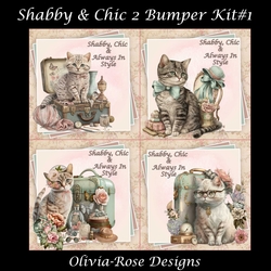 Shabby & Chic 2 Bumper KIt #1