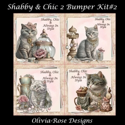 Shabby & Chic 2 Bumper KIt #2