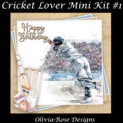 Cricket Lover Mini Kit #1