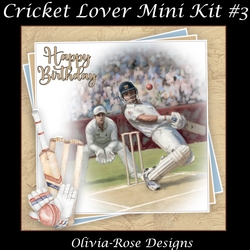 cup1204687_104105 - Cricket Lover Mini Kit #3   