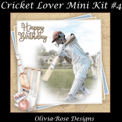 Cricket Lover Mini Kit #4