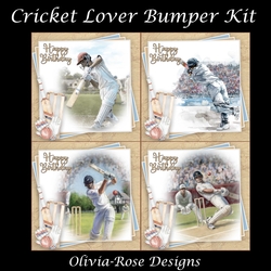 Cricket Lover Bumper Kit    