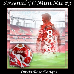 Arsenal FC Mini Kit #3  