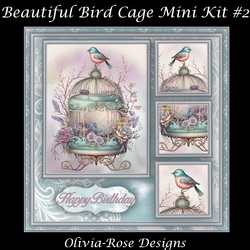 Beautiful Bird Cage Mini Kit #2