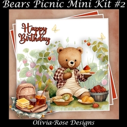 Bears Picnic Mini Kit #2 **Includes card front with no text or decoupage**