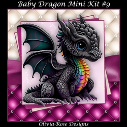 Baby Dragon Mini Kit #9