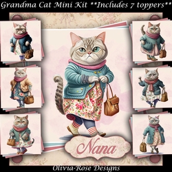 Grandma Cat Mini Kit 
