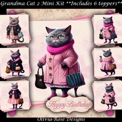 Grandma Cat 2 Mini Kit