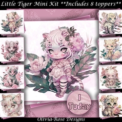 Little Tiger Mini Kit