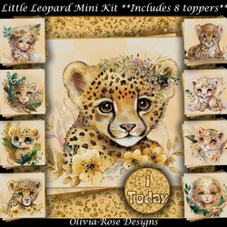 Little Leopard Mini Kit 