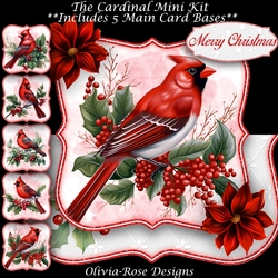 The Cardinal Over The Edge Mini Kit   