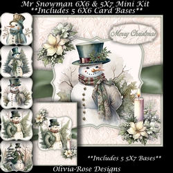 Mr Snowman Mini Kit  