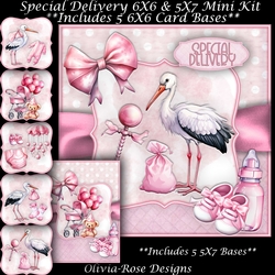 Special Delivery Pink Mini Kit