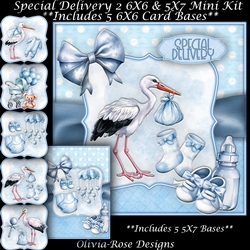 Special Delivery 2 Mini Kit   
