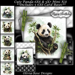Cute Panda Mini Kit
