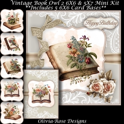 Vintage Book Mini Kit  
