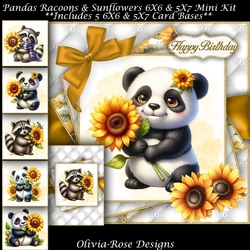 Racoons, Pandas & Sunflowers Mini Kit