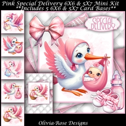 Pink Special Delivery Mini Kit