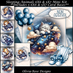 Sleeping Animals Mini Kit