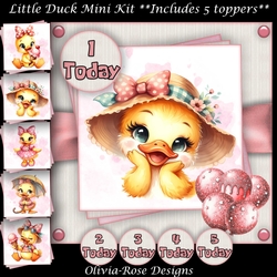Little Duck Mini Kit 7X7