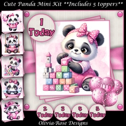 Cute Panda Mini Kit    7X7