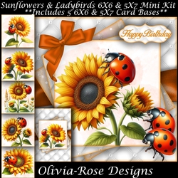 Sunflowers & Ladybirds Mini Kit
