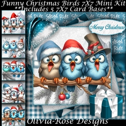 Funny Christmas Birds Mini Kit 7x7