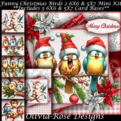 Funny Christmas Birds 2 Mini Kit 