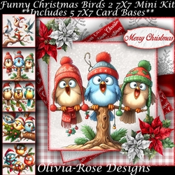 Funny Christmas Birds 2 Mini Kit 7X7