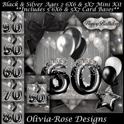 Black & Silver Ages 50-90 Mini Kit 
