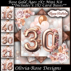 Rose Gold 16-40 Mini Kit 7X7