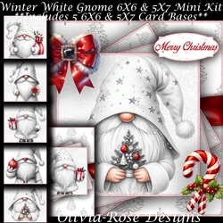 Winter White Gnome Mini Kit