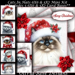 Cats In Hats Mini Kit