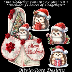 Cute Hedgehog Pop-Up Box Mini Kit 2