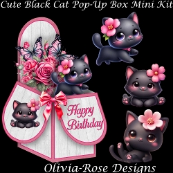 Cute Black Cat Pop-Up Box Mini Kit