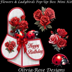 Flowers & Ladybirds Pop-Up Box Mini Kit