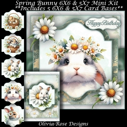 Spring Bunny Mini Kit