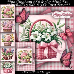 Pink Gingham Mini Kit
