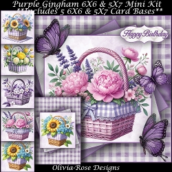 Purple Gingham Mini Kit