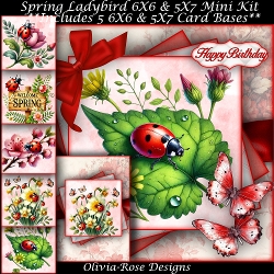 Spring Ladybird Mini Kit 