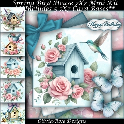 Spring Bird House Mini Kit 7X7