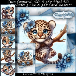 Cute Leopard  Mini Kit 