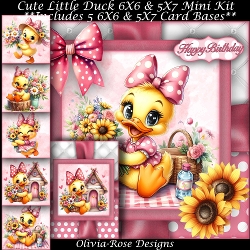Cute Little Duck Mini Kit