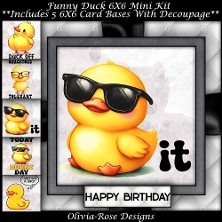 Funny Duck Mini Kit 6X6